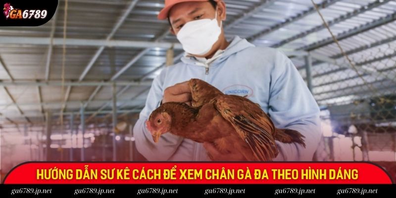 Hướng dẫn sư kê cách để xem chân gà đa theo hình dáng
