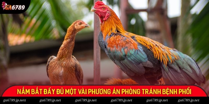 Nắm bắt đầy đủ một vài phương án phòng tránh bệnh phổi Nắm bắt đầy đủ một vài phương án phòng tránh bệnh phổi