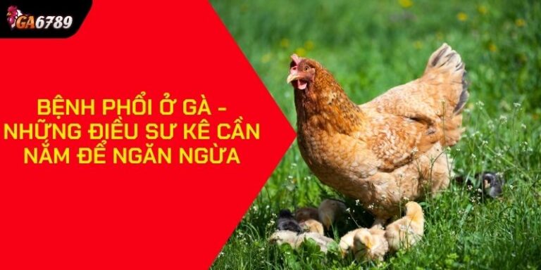 Bệnh phổi ở gà
