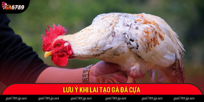 Một số lưu ý quan trọng Một số lưu ý quan trọng