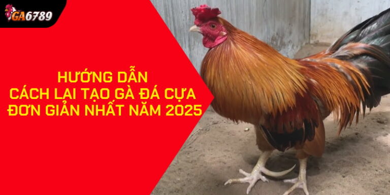 Cách lai tạo gà đá cựa