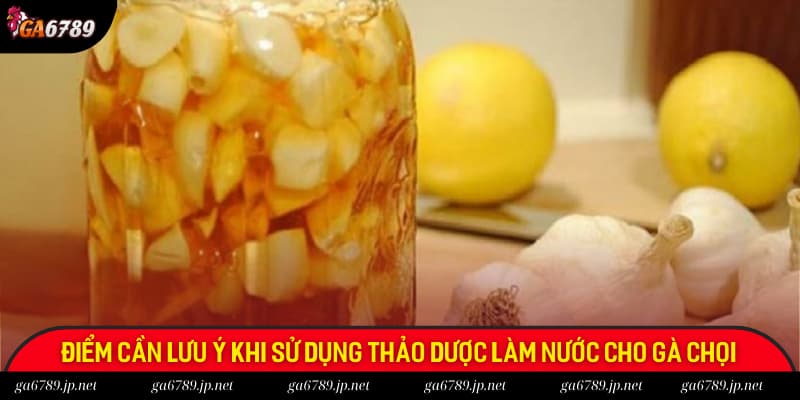 Lưu ý một số điểm quan trọng trong cách làm nước cho gà chọi khi sử dụng thảo dược Lưu ý một số điểm quan trọng trong cách làm nước cho gà chọi khi sử dụng thảo dược