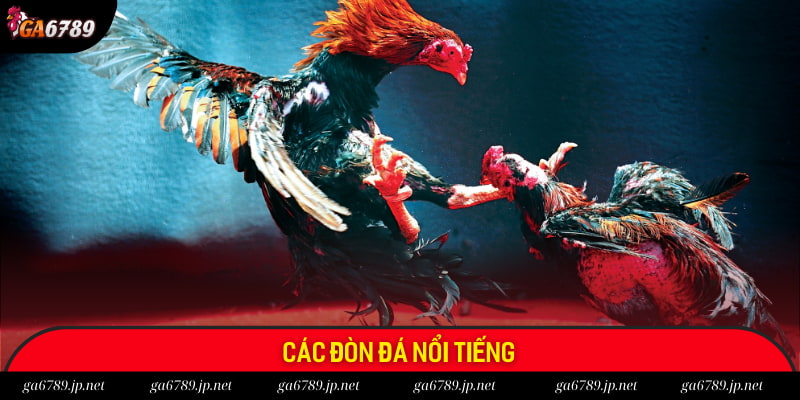 Một số đòn đá nổi tiếng Một số đòn đá nổi tiếng