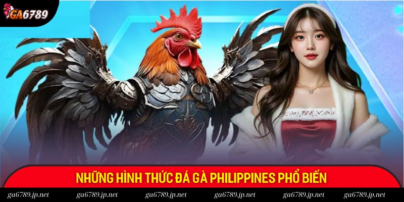 Đá Gà Philippines - Đấu Trường Giải Trí Vạn Người Mê 1 Có 3 hình thức chọi gà Philippines phổ biến được yêu thích