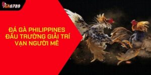 Đá gà Philippines