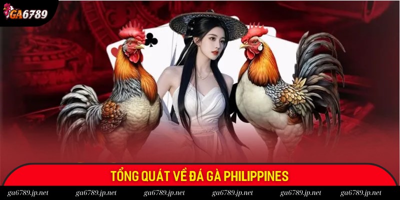 Giới thiệu tổng quát về đá gà Philippines tại Ga6789 Giới thiệu tổng quát về đá gà Philippines tại Ga6789