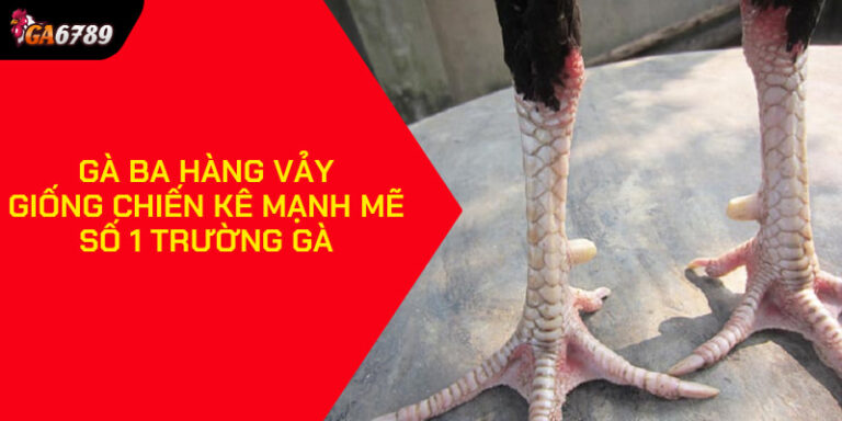 Gà Ba Hàng Vảy