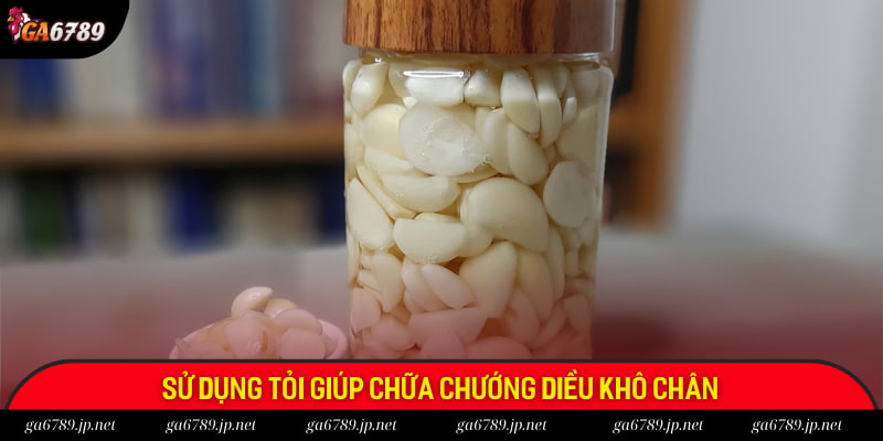 Dùng tỏi để giúp gà tiêu hóa tốt hơn Dùng tỏi để giúp gà tiêu hóa tốt hơn