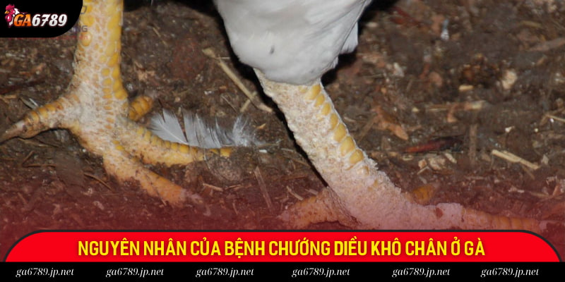 Một số nguyên nhân thường gặp Một số nguyên nhân thường gặp