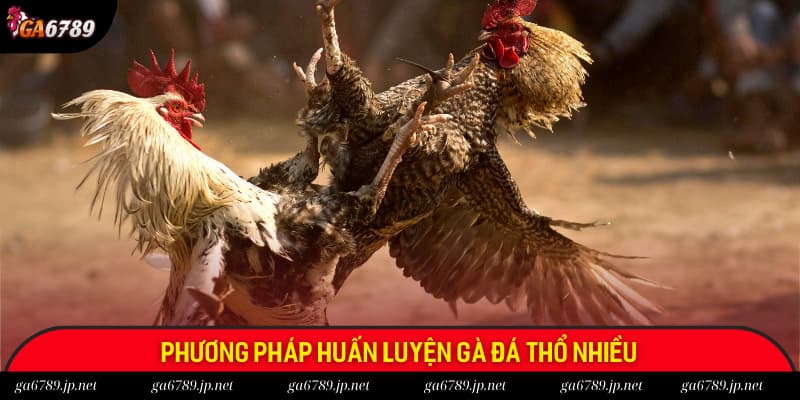Phương pháp huấn luyện đối với dòng gà có giọng thổ nhiều
