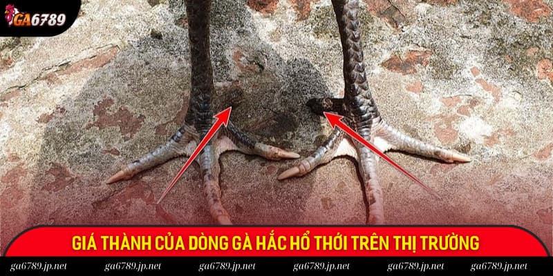 Giá thành của Hắc Hổ Thới trên thị trường gà chọi