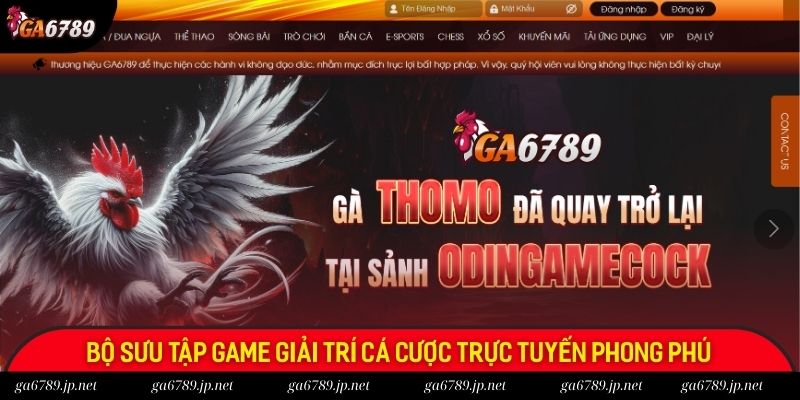 Bộ sưu tập game giải trí cá cược trực tuyến phong phú Bộ sưu tập game giải trí cá cược trực tuyến phong phú