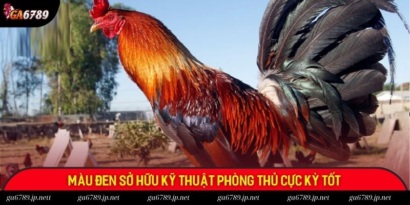 Màu đen sở hữu kỹ thuật phòng thủ cực kỳ tốt Màu đen sở hữu kỹ thuật phòng thủ cực kỳ tốt