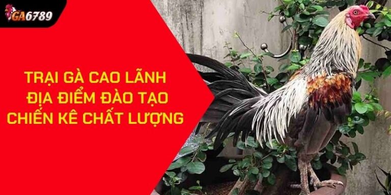 trại gà Cao Lãnh