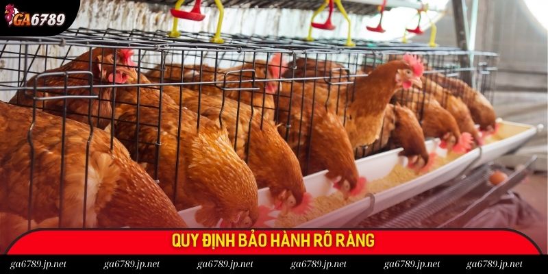 Quy định bảo hành rõ ràng