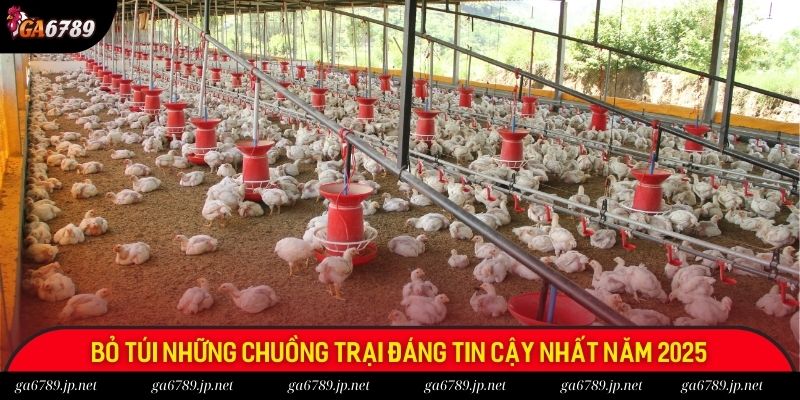 Bỏ túi những chuồng trại đáng tin cậy nhất năm 2025
