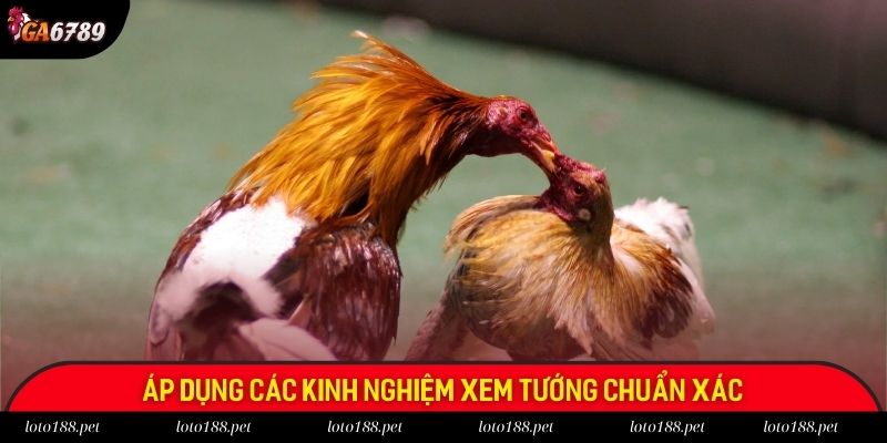 Áp dụng các kinh nghiệm xem tướng chuẩn xác